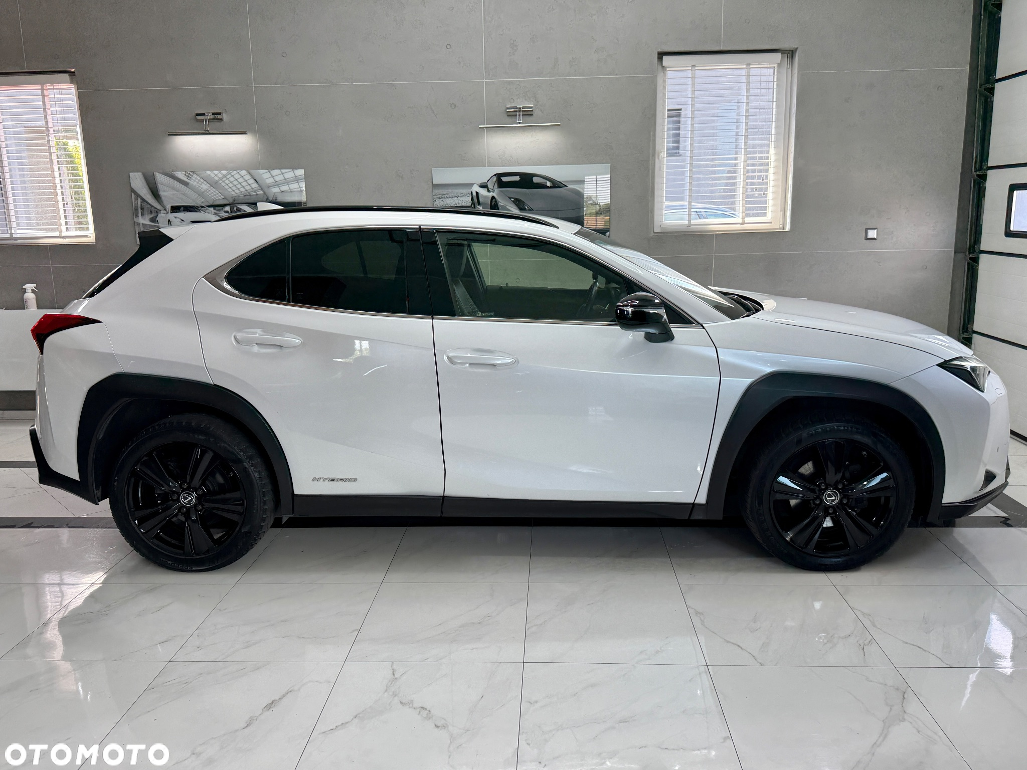 Lexus UX 250h - 10