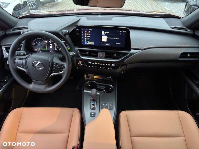 Lexus UX 300h F Sport Design AWD - 19