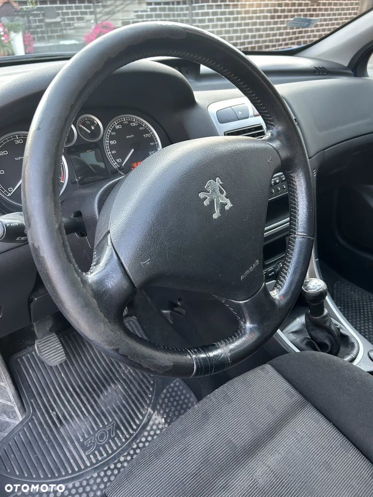 Peugeot 307 - 19