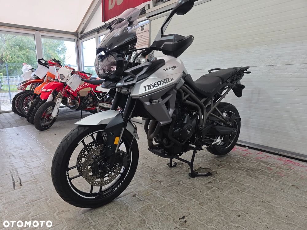 Triumph Tiger - 6