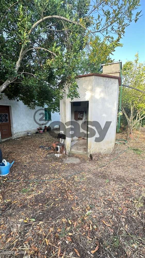 Terreno Rústico com 1,1 Hectares na Vidigueira - Grande imagem: 2/13
