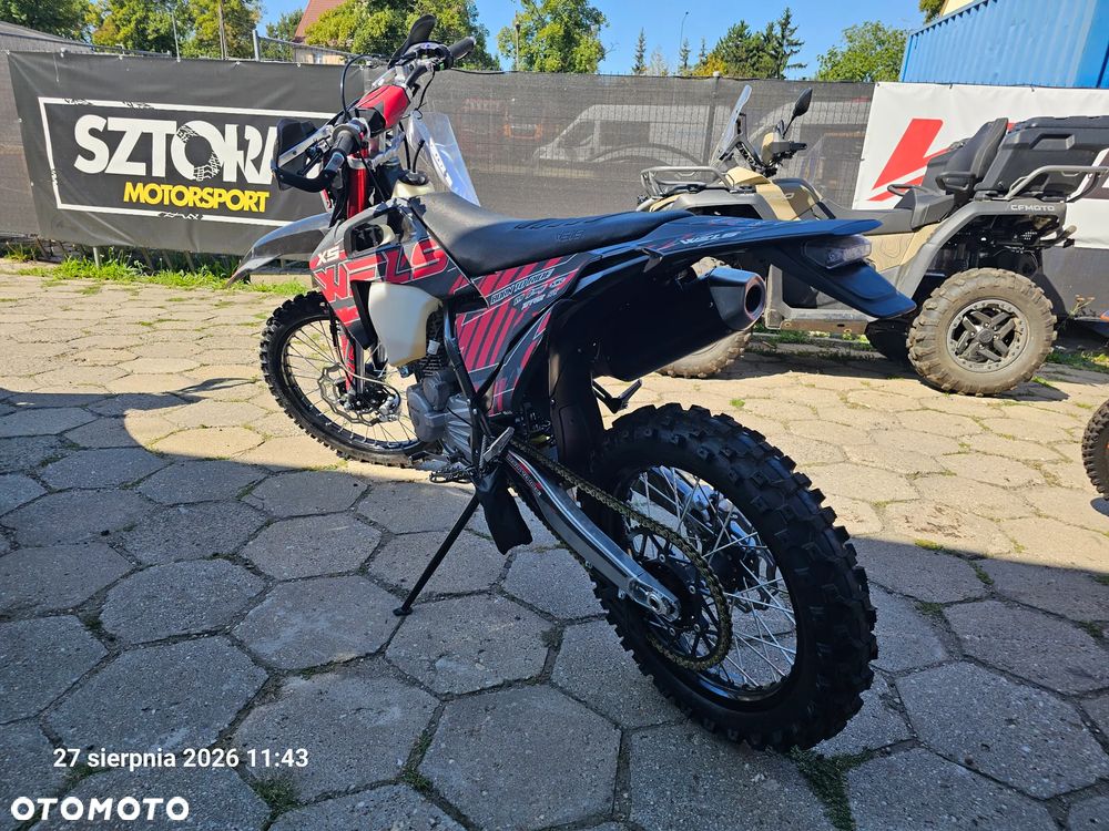 Diabolini Inny - 4