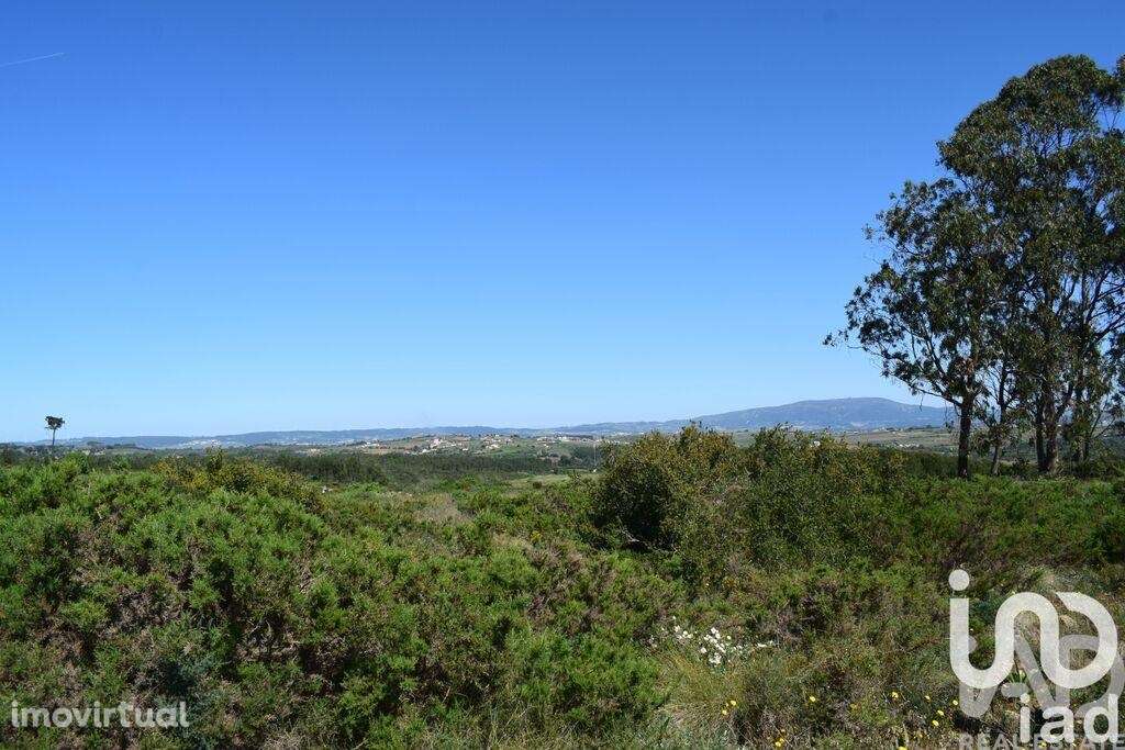 Terreno Agrícola em Carnota - Grande imagem: 5/36