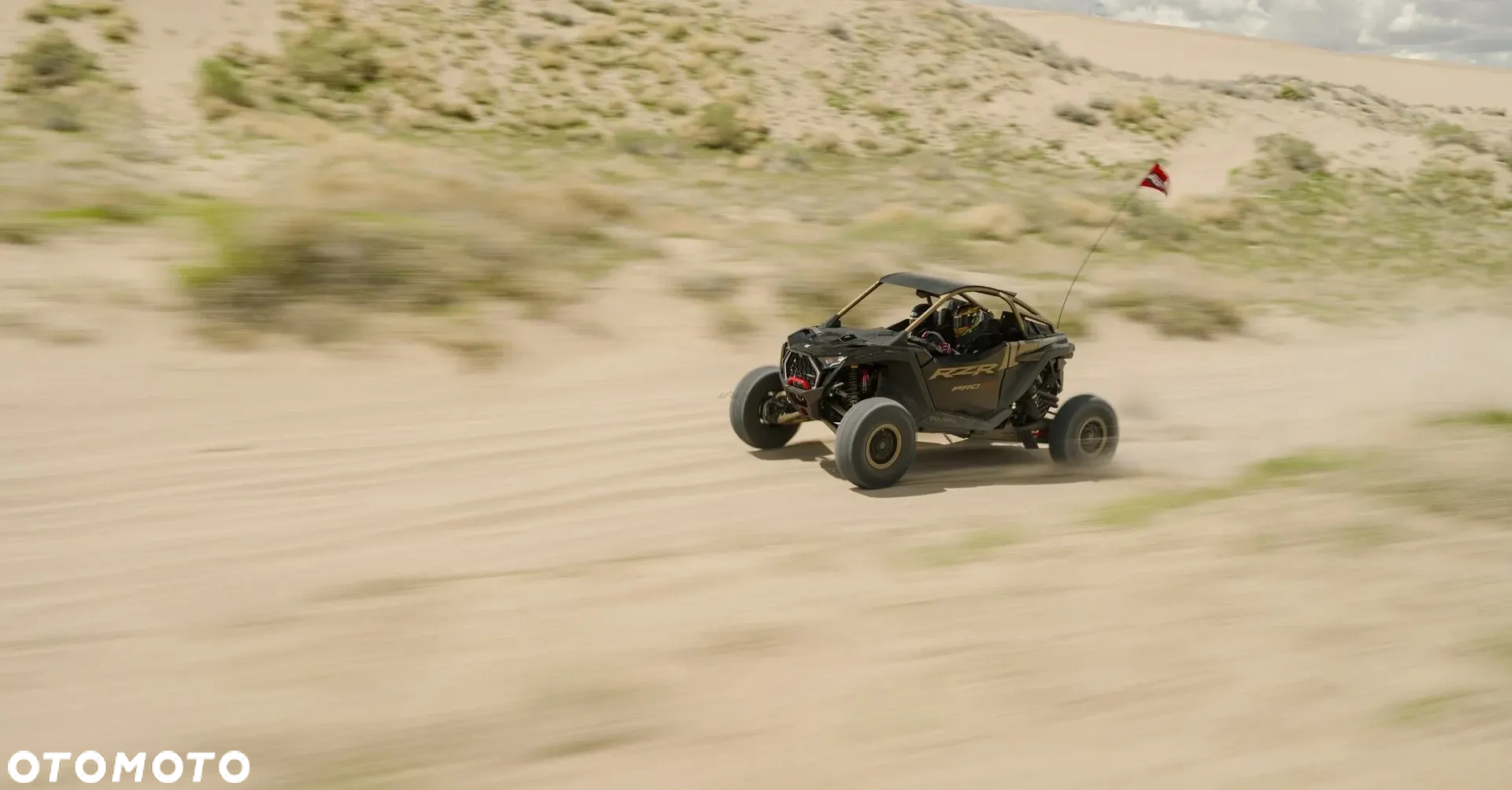Polaris RZR - 12