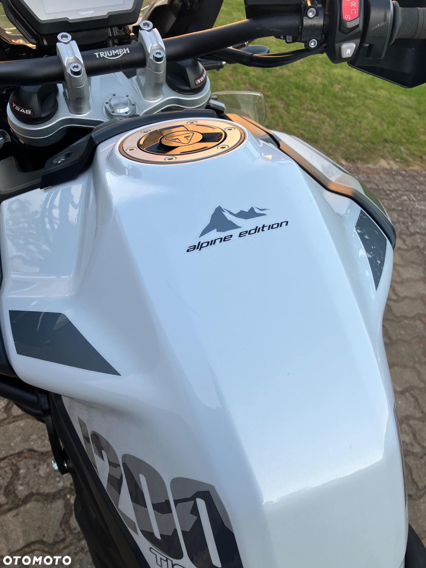 Triumph Tiger - 3