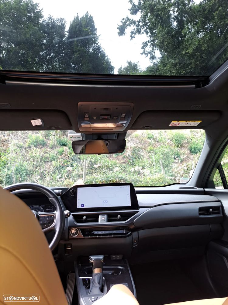 Lexus UX 250h F Sport - 11