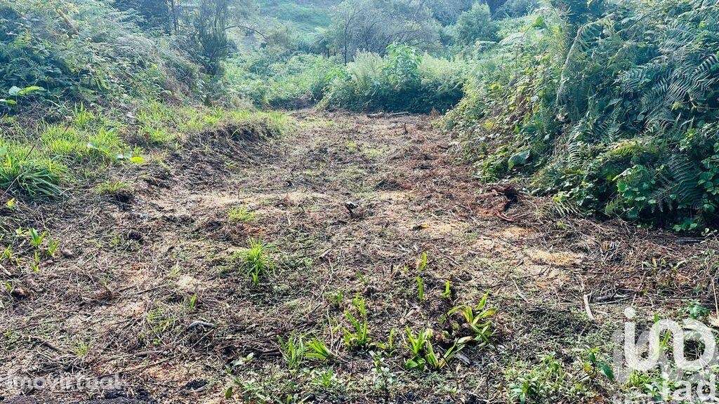 Terreno Agrícola em Santana - Grande imagem: 4/39