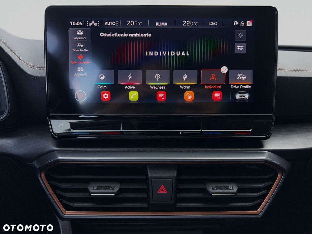 Cupra Formentor 1.5 TSI DSG - 30