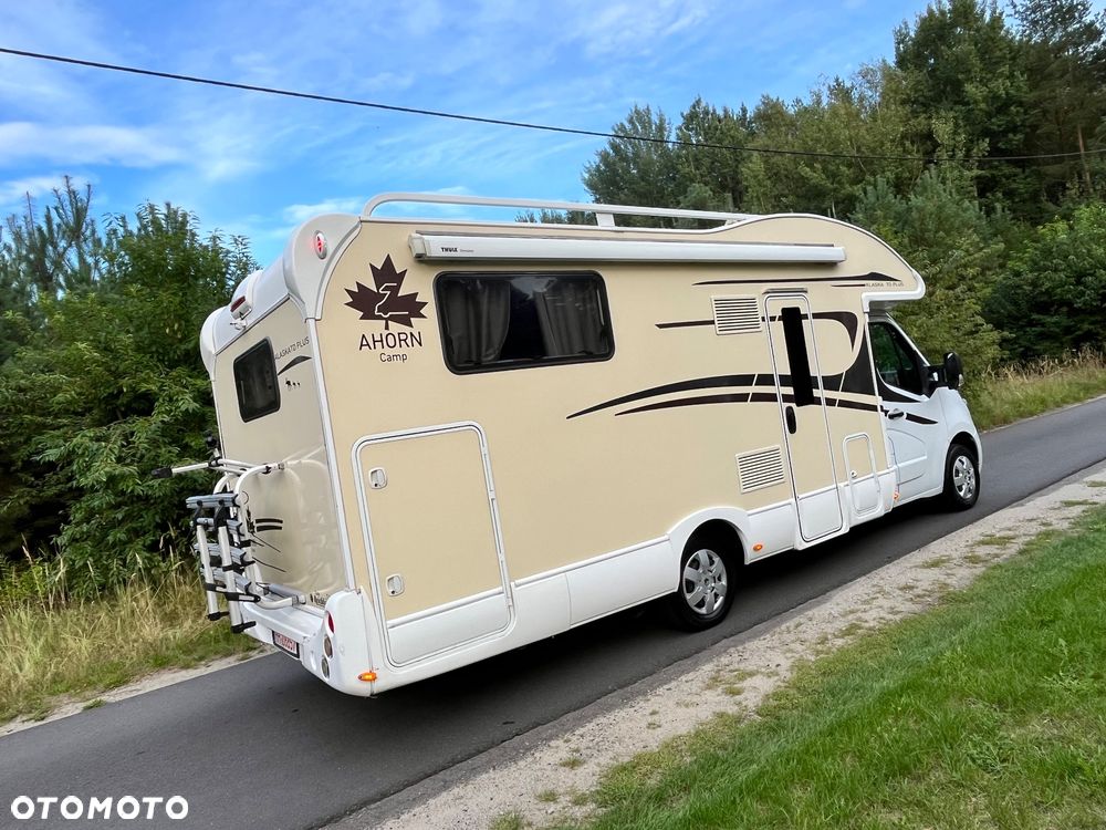 Renault Ahorn Alaska TD Plus 2018r - 3