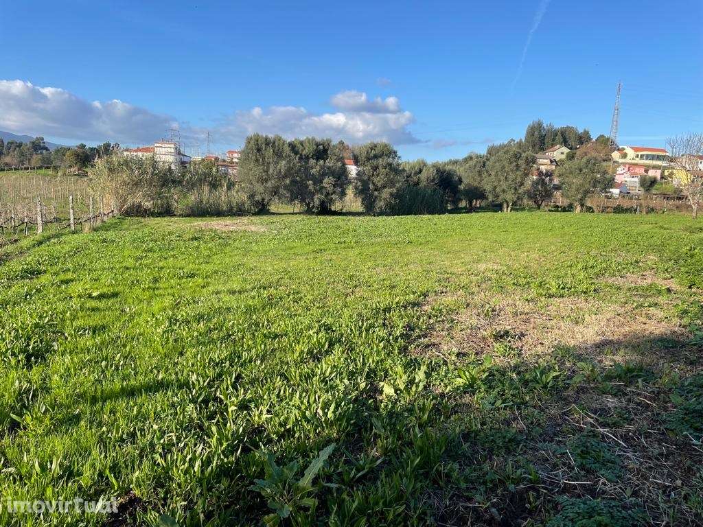 Terreno para arrendar na Feitosa - Grande imagem: 2/6