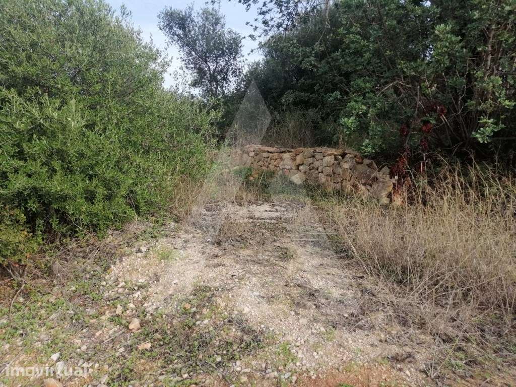 Terreno rústico com 2400m2 localizado em Vale Judeu com lindas vistas - Grande imagem: 2/19