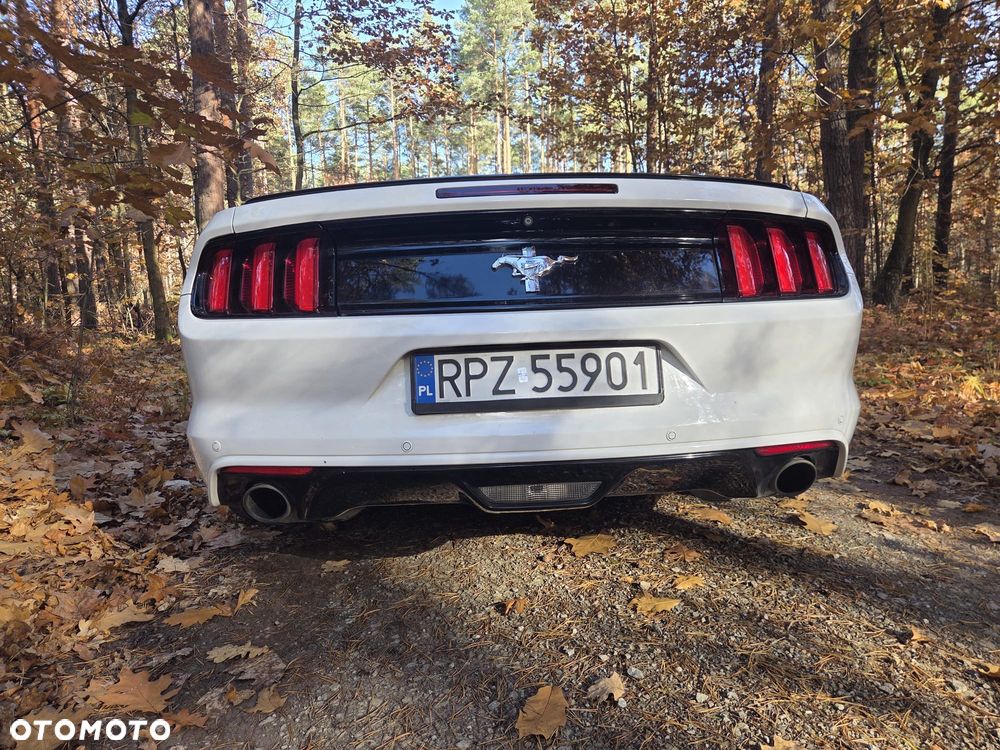 Ford Mustang 3.7 V6 - 17