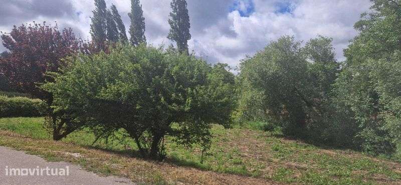 Terreno para Venda - Grande imagem: 5/11