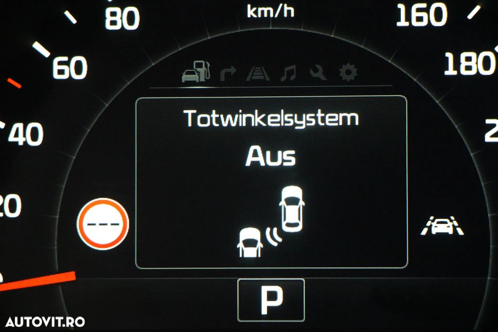 Kia Sorento 2.2 CRDi AWD Aut. Platinum Edition - 22