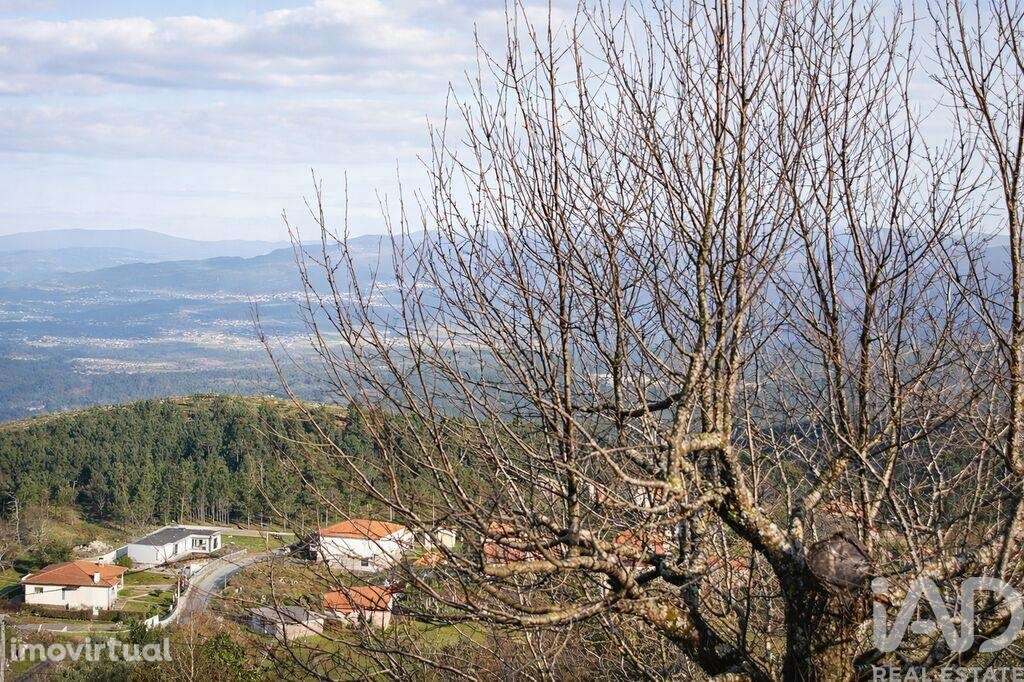 Terreno para construção em Gondomil e Sanfins - Grande imagem: 3/14