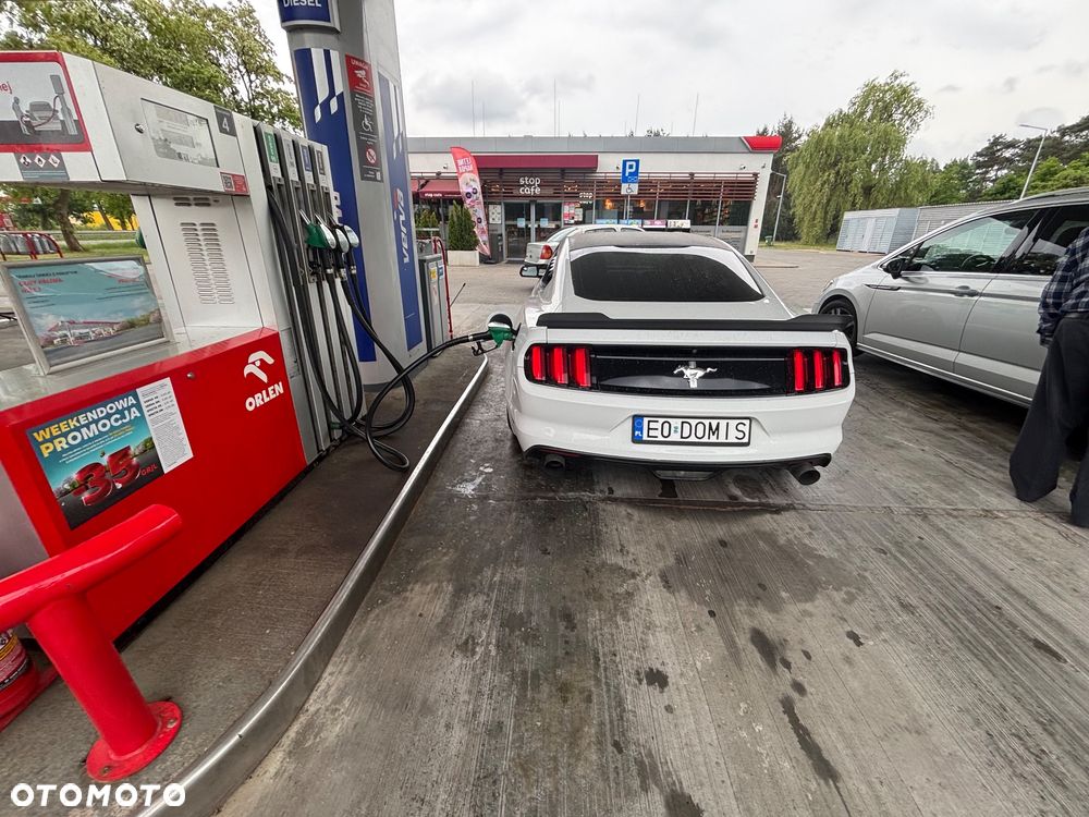 Ford Mustang - 8