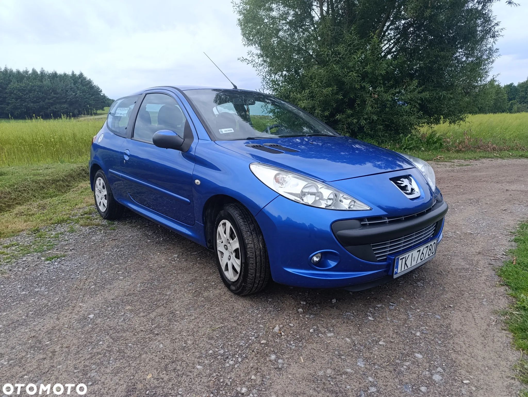 Peugeot 206 plus - 1