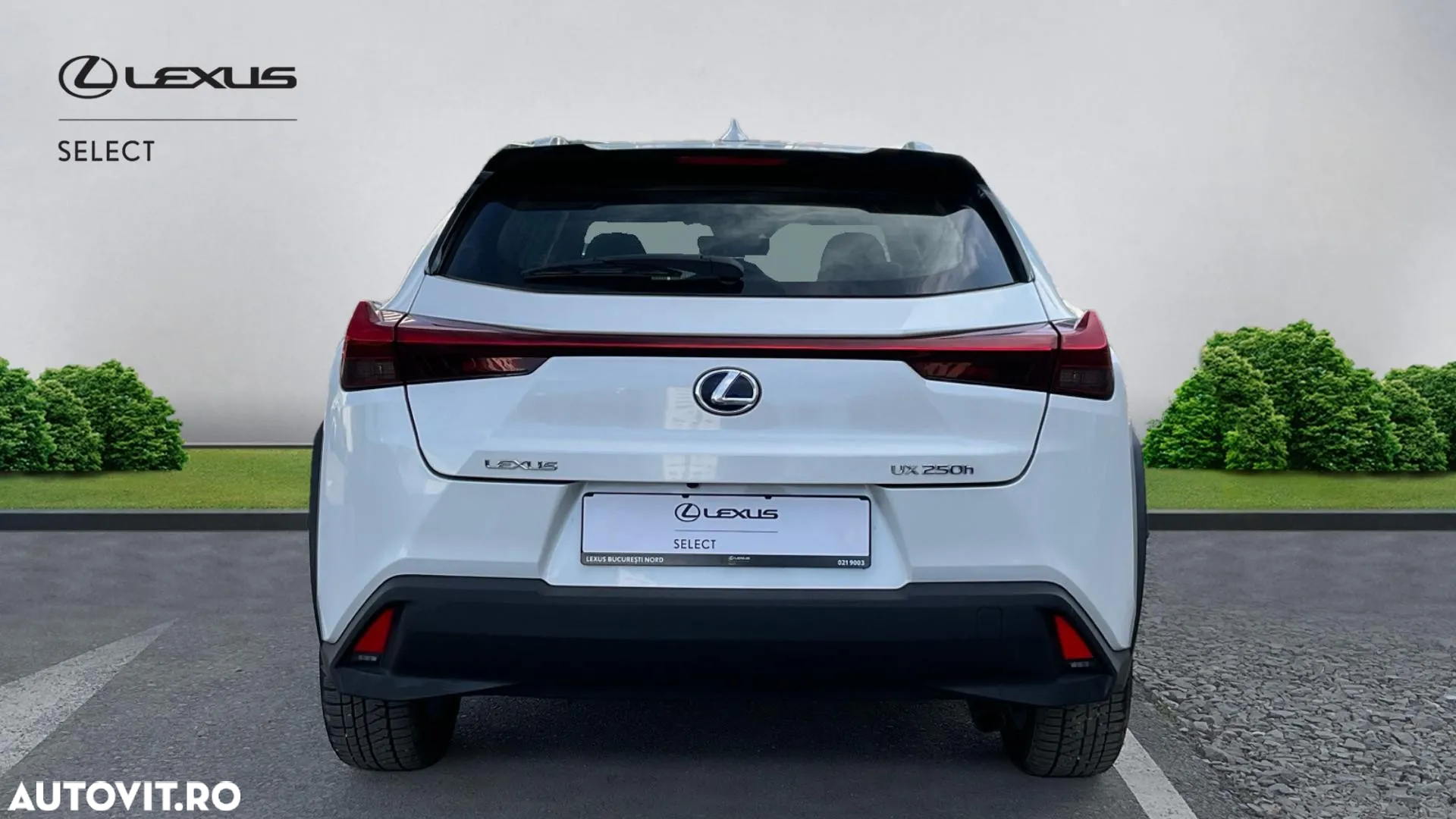 Lexus UX 250h Business Edition - 4