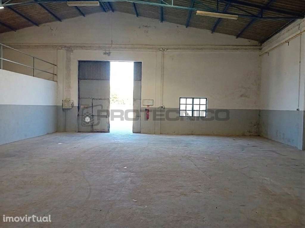 Armazém em Cacia - Arrendamento - Grande imagem: 5/13