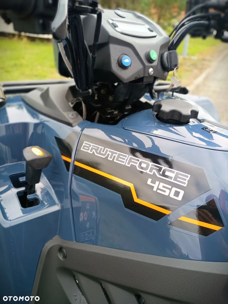 Kawasaki Brute Force - 7