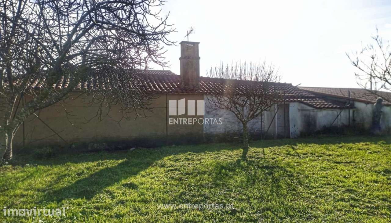 Venda de Moradia térrea V3, Areosa, Viana do Castelo. - Grande imagem: 5/31