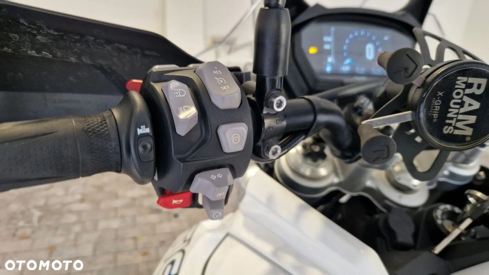 Triumph Tiger - 16