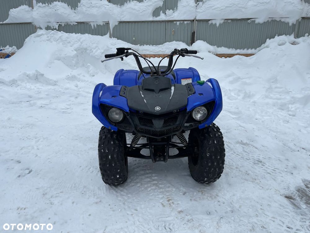 Yamaha Grizzly - 3