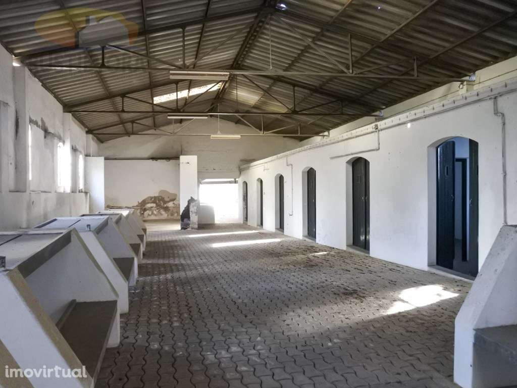 OPORTUNIDADE DE INVESTIMENTO | Terreno em Viana do Alentejo com via... - Grande imagem: 3/60