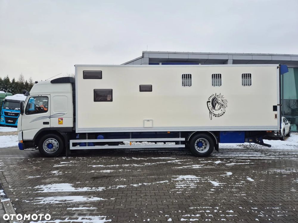 Volvo FM 7 / DO PRZEWOZU BYDŁA I KONI / 5 MIEJSC / POMIESZCZENIE MIESZKALNE / 1 WŁ / SUPER STAN / NIE ZAWODNE VOLVO / OKAZJA RYNKOWA! - 12