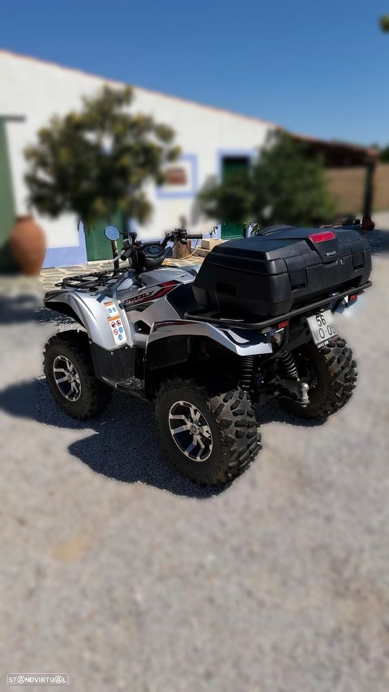 Yamaha Grizzly Limited Edition - 6