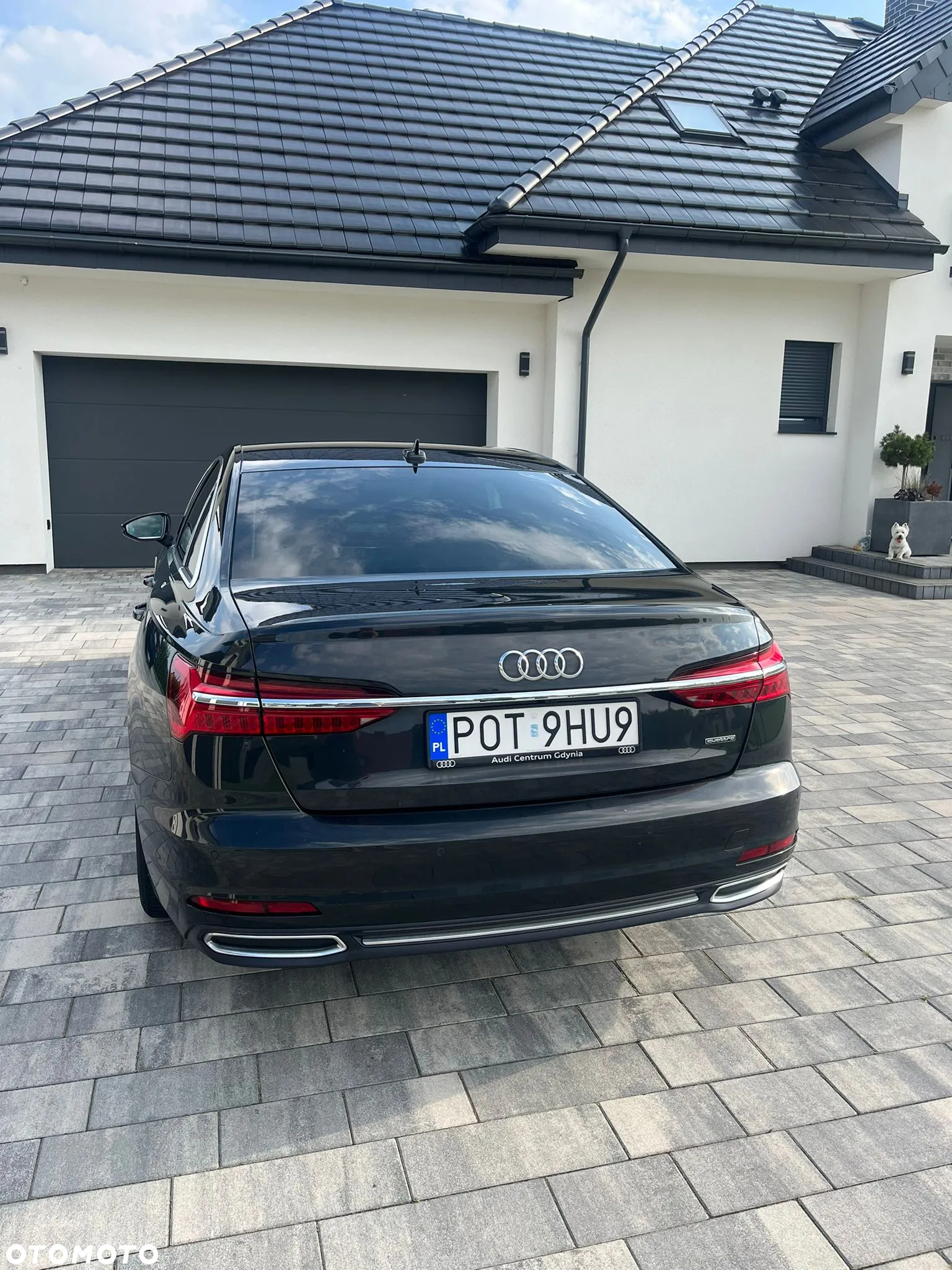 Audi A6 50 TDI mHEV Quattro Tiptronic - 2
