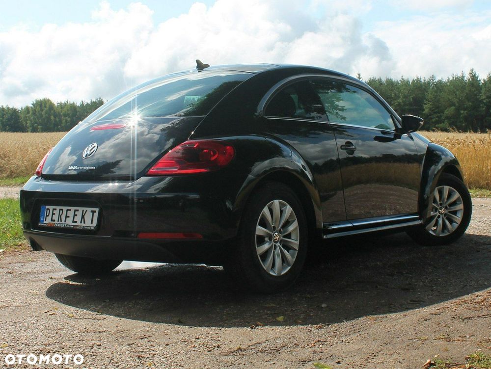 Volkswagen Beetle - 20