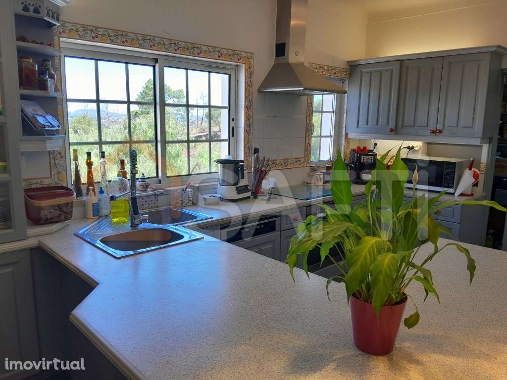 moradia t4 independente - Grande imagem: 3/14