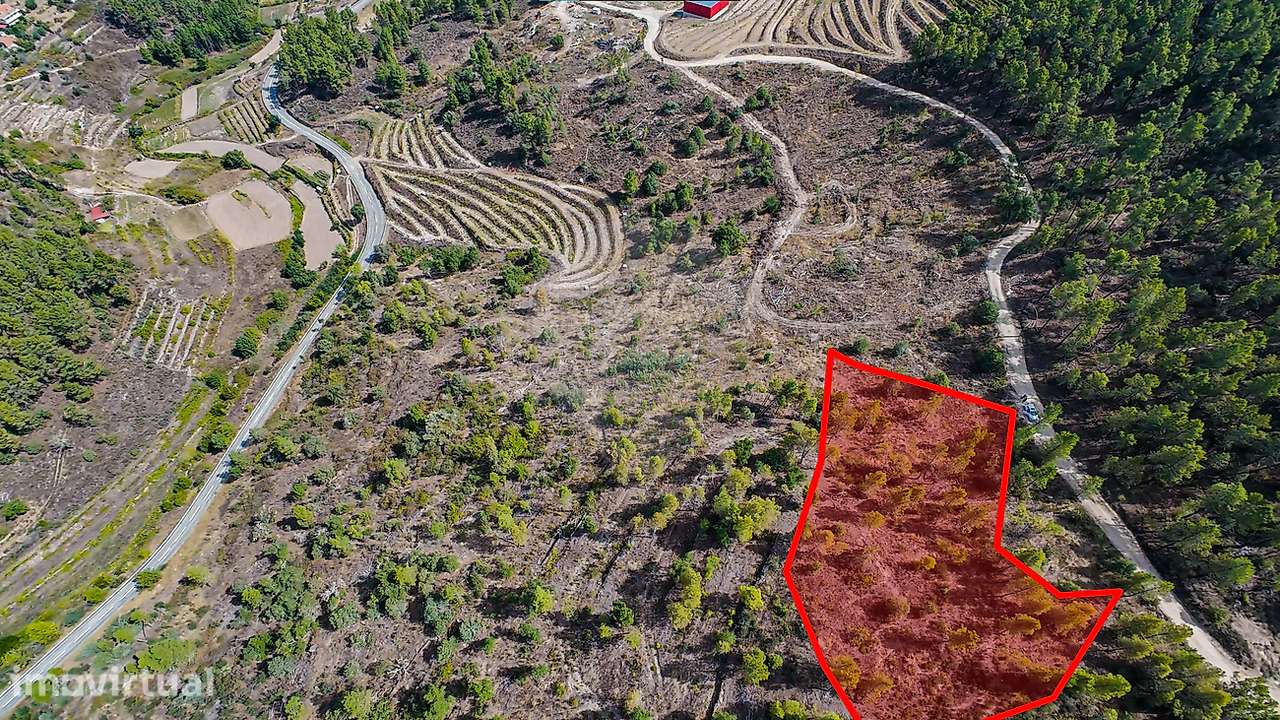 Terreno  para venda - Grande imagem: 5/10