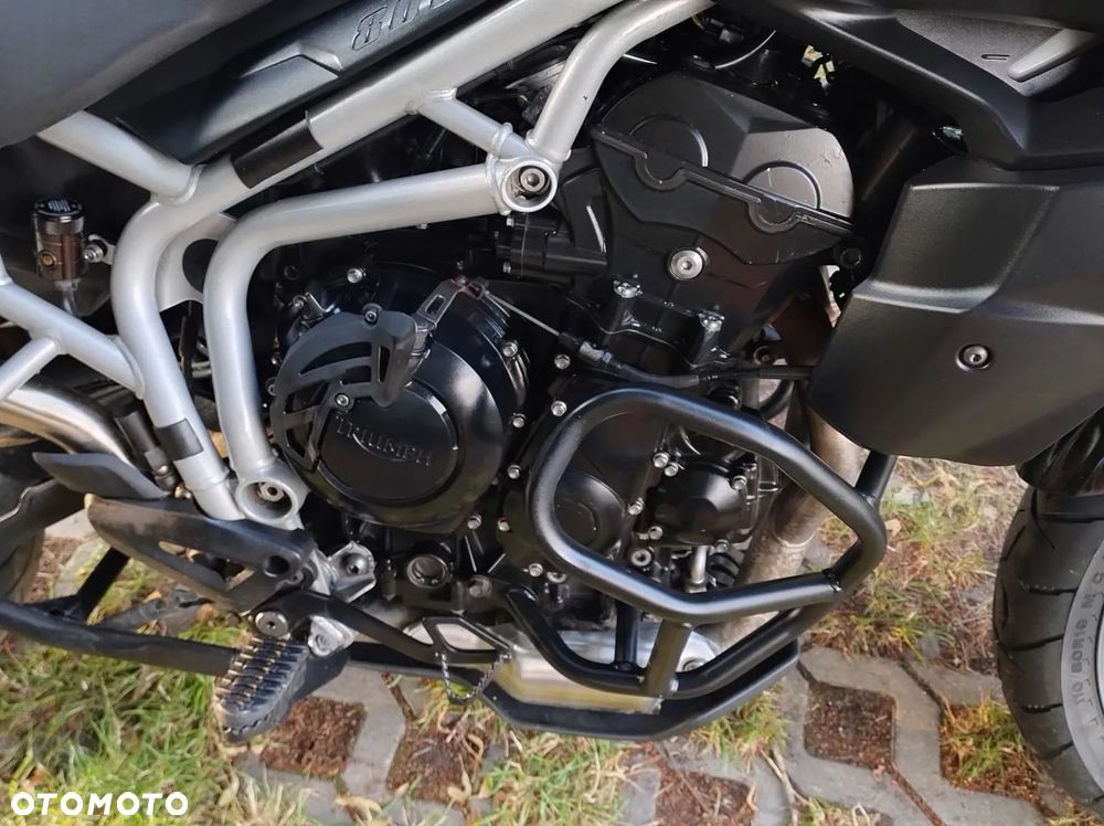Triumph Tiger - 6