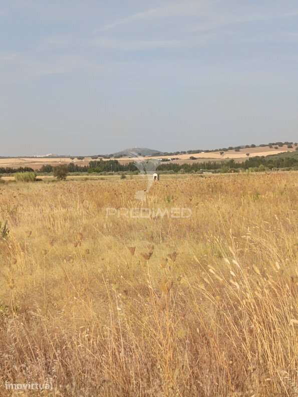 Terrenos Rústicos com Rega | Godinha, Campo Maior - Grande imagem: 3/37