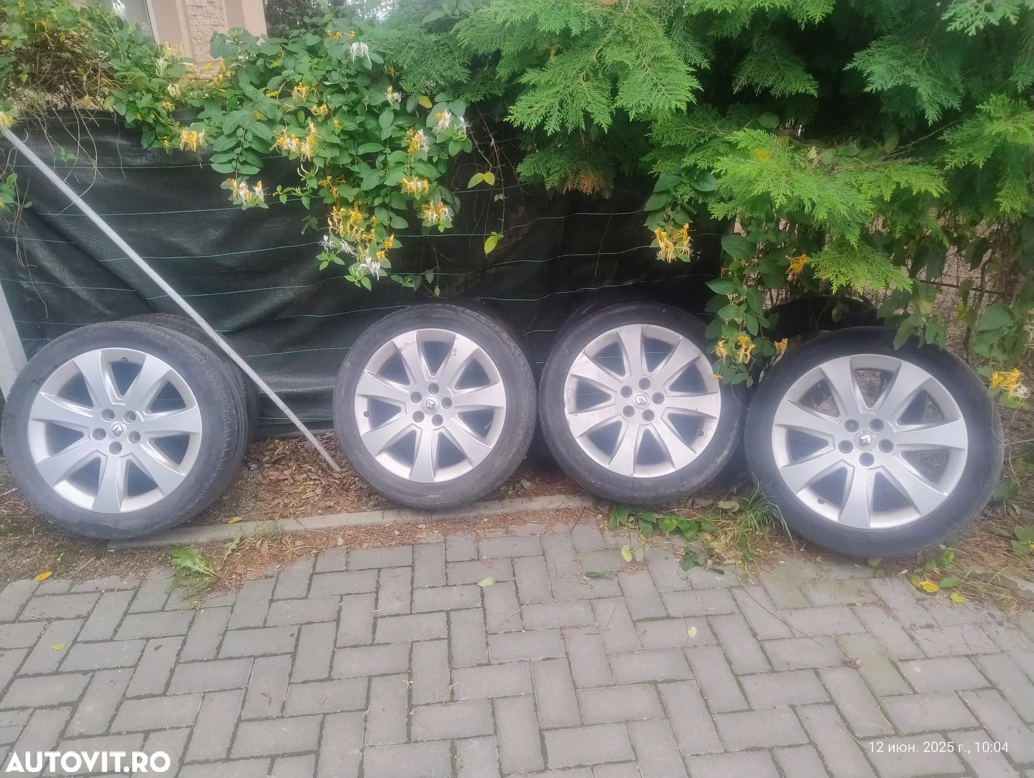 Jante - 1
