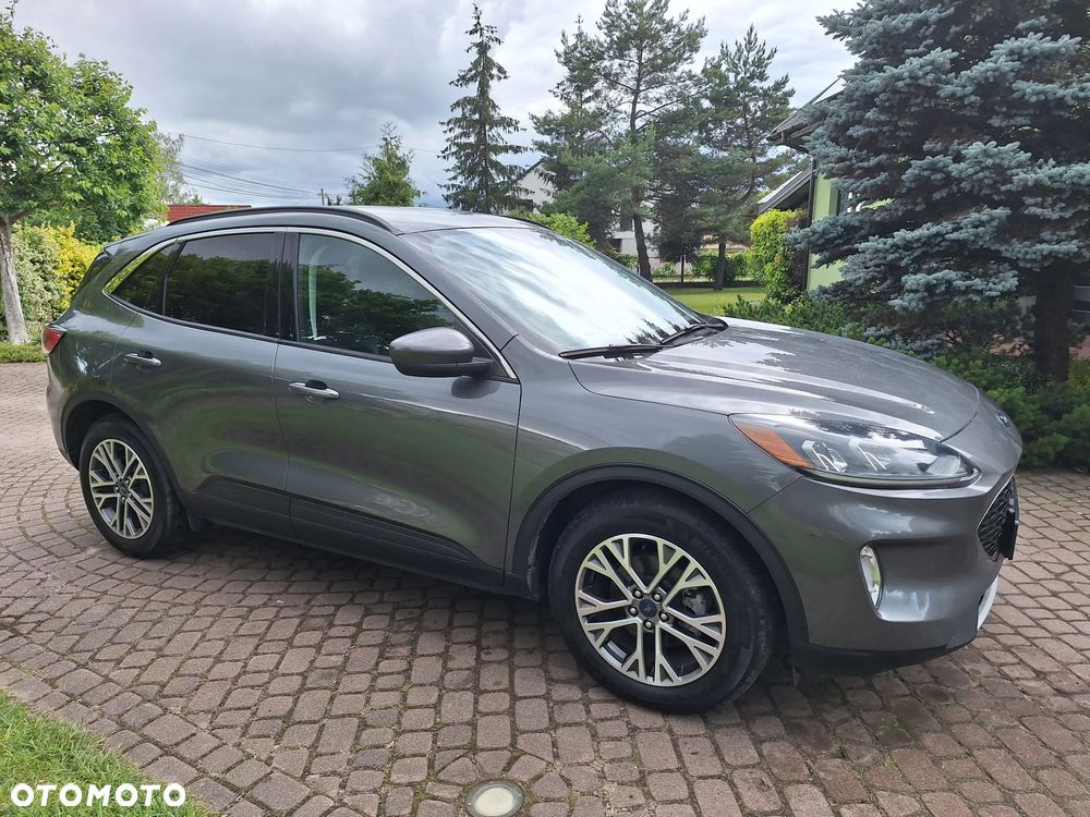 Ford Escape - 3