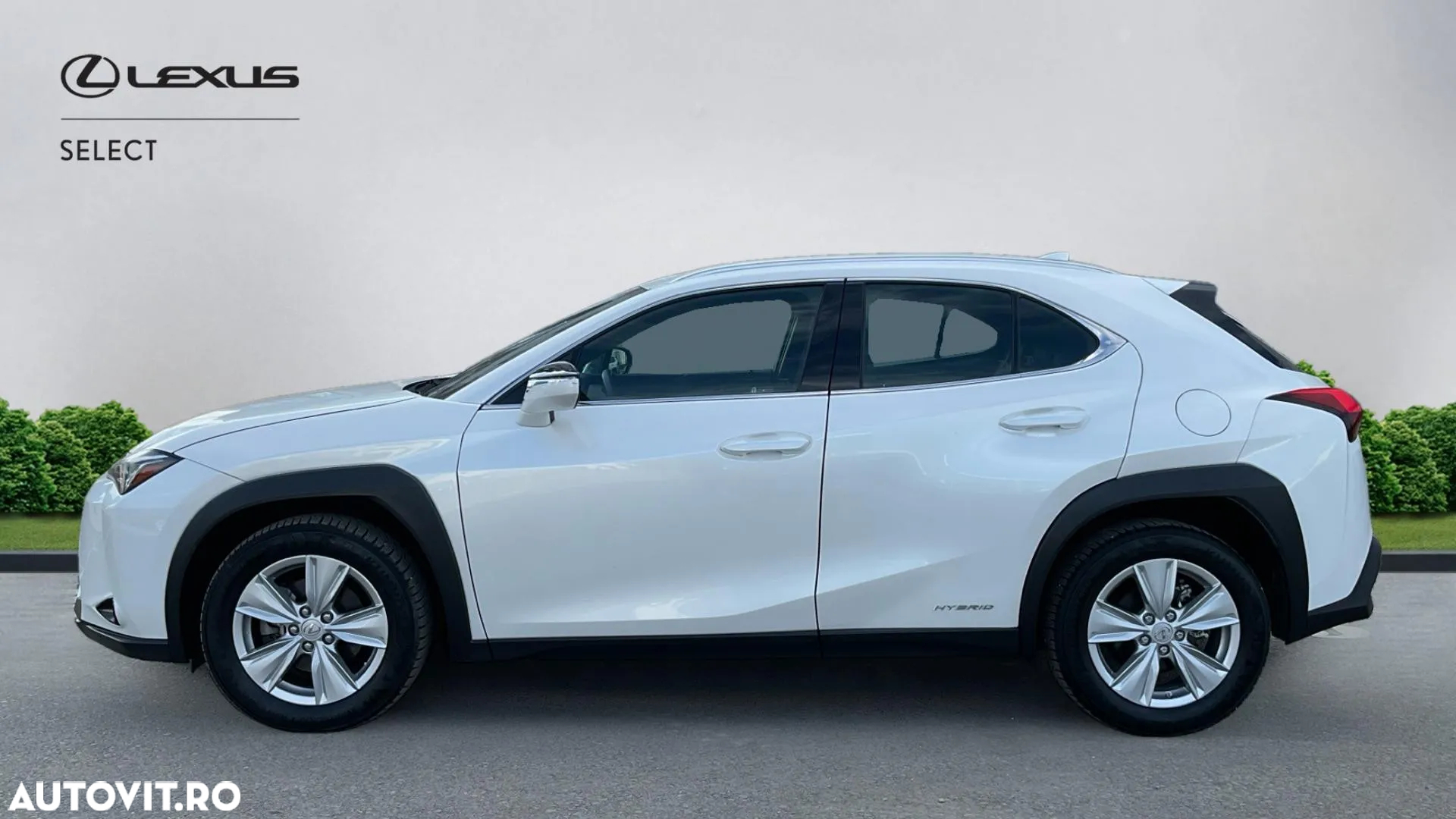 Lexus UX 250h Business Edition - 3
