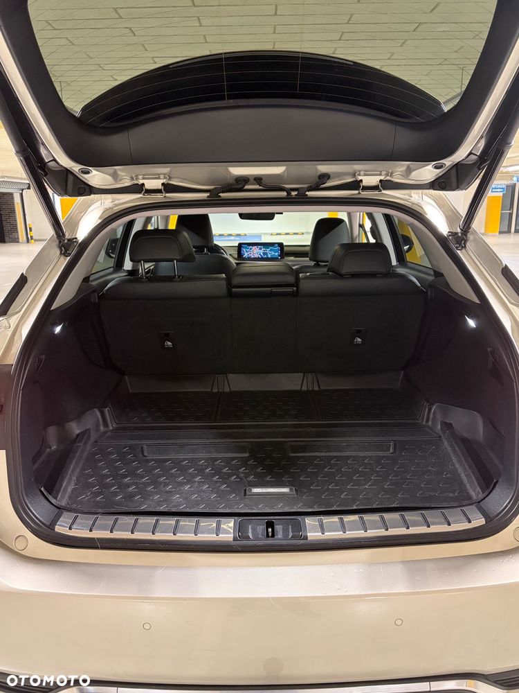 Lexus RX 450h F-Impression - 7