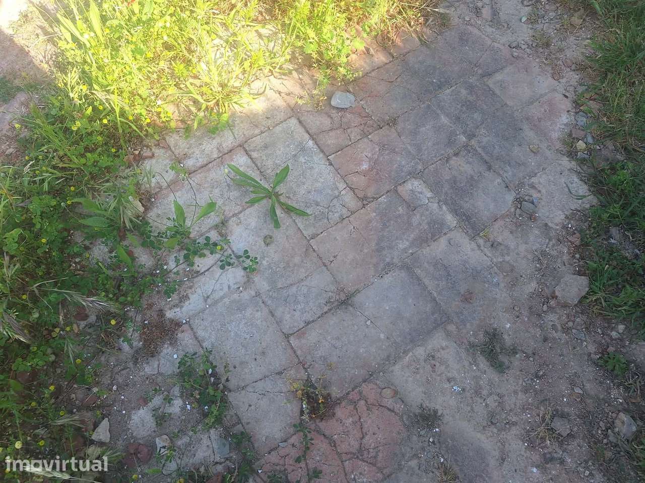 Terreno nos arredores de São Brás de Alportel - Grande imagem: 4/15