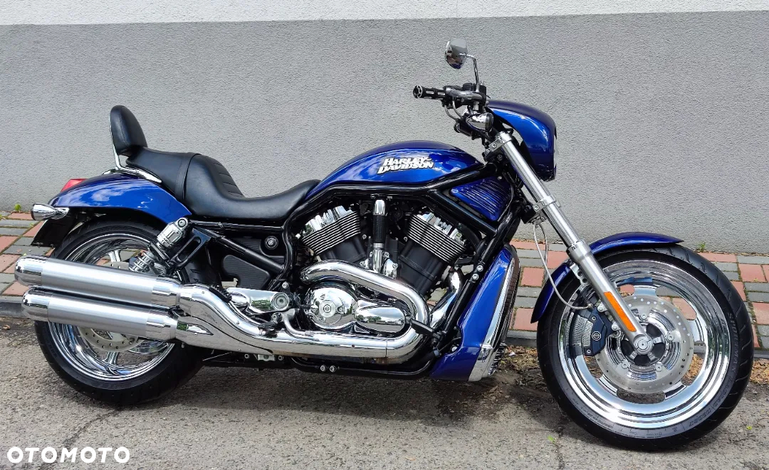 Harley-Davidson Softail V-Rod - 4