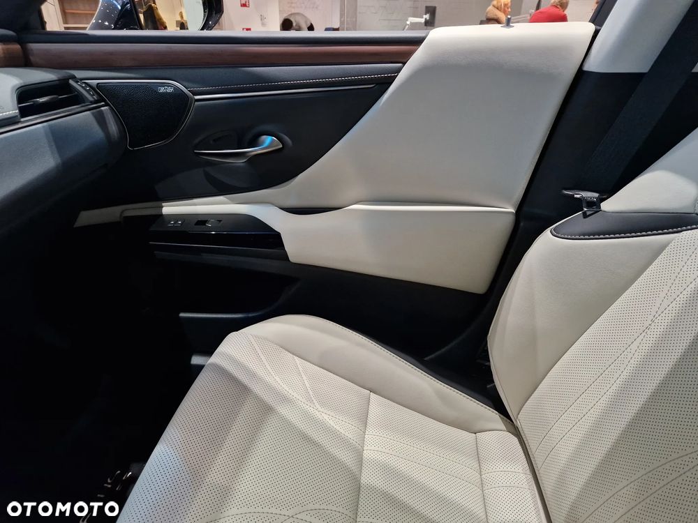 Lexus ES 300h Prestige - 14