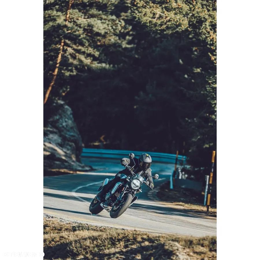 Husqvarna Svartpilen - 18