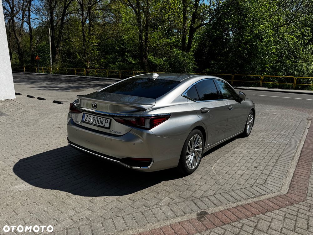 Lexus ES 300h Omotenashi - 6