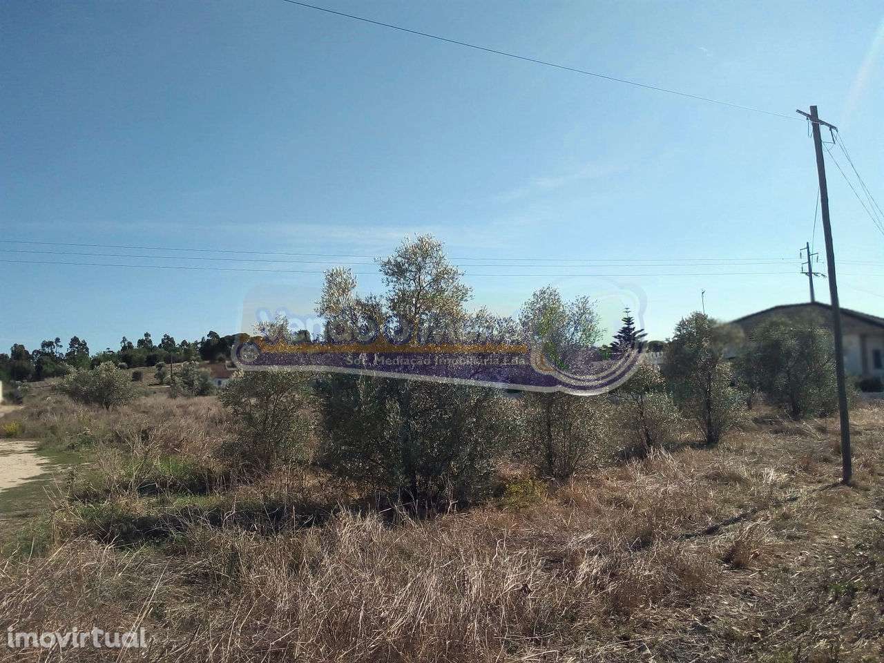 Terreno em Glória do Ribatejo (GLR017) - Grande imagem: 2/4