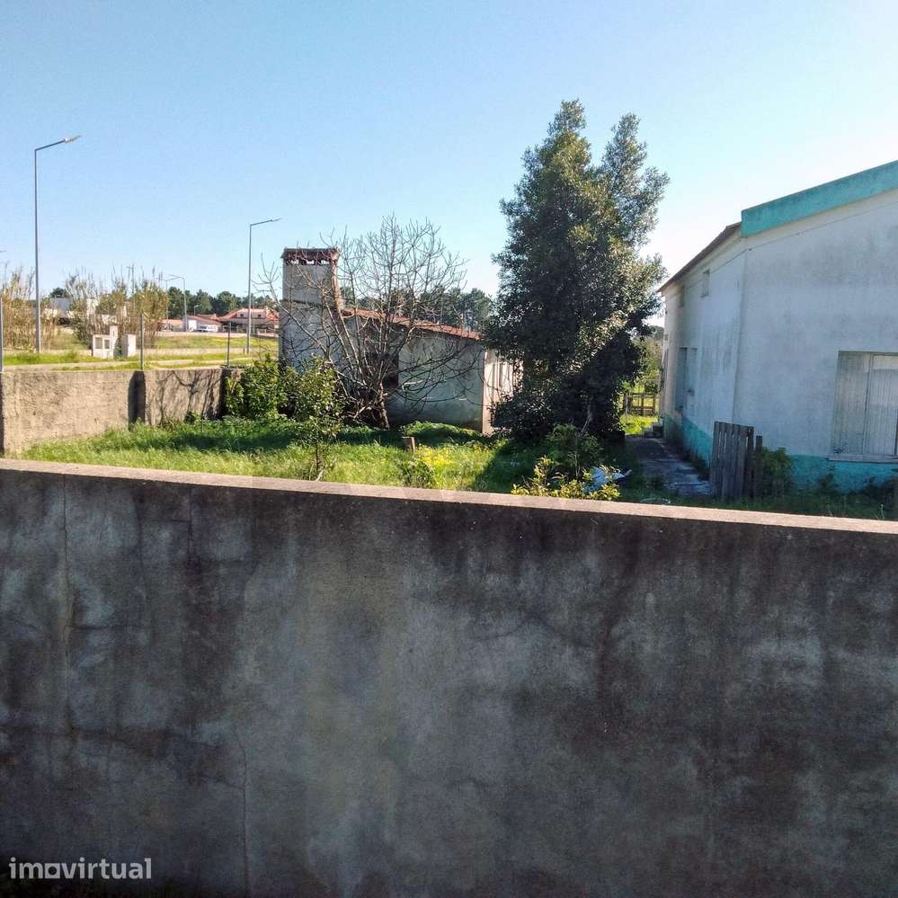 Oportunidade Imperdível: Moradia Térrea T3 com Sótão e Anexo na Quinta - Grande imagem: 3/42