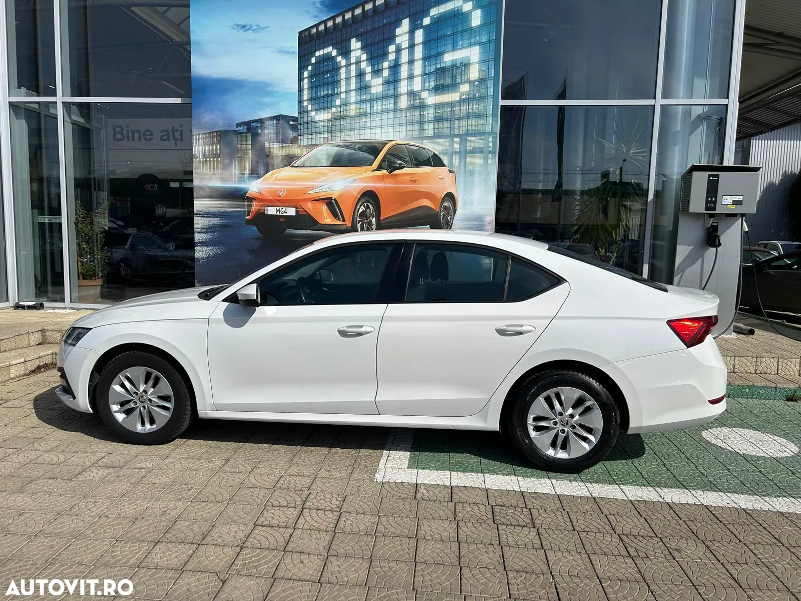Skoda Octavia - 6