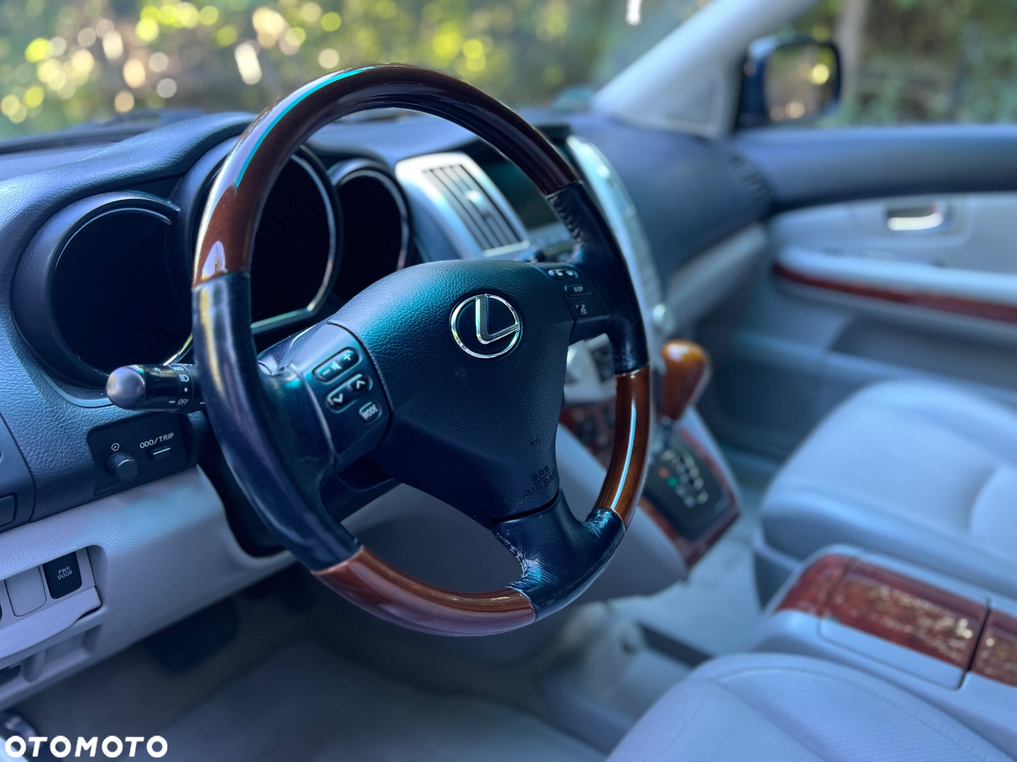 Lexus RX - 11