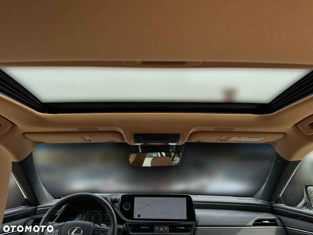 Lexus ES 300h Business Edition - 20